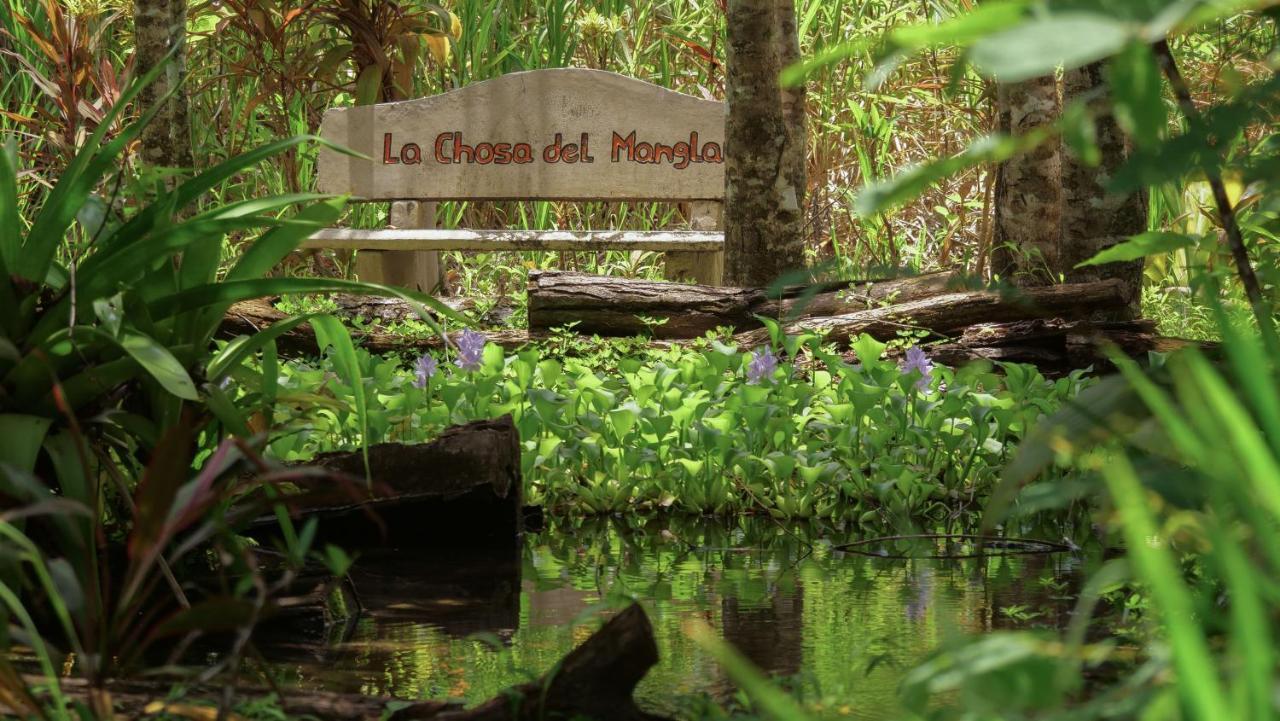 Chosa Manglar Suites & Cabins Puerto Jiménez Exterior foto
